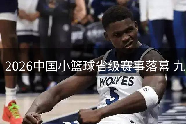 2026中国小篮球省级赛事落幕 九大赛区点燃青春篮球梦想